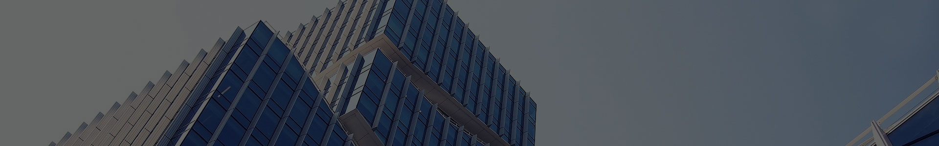 Jiaxing Xuanyi Internationale Handel Co., Ltd