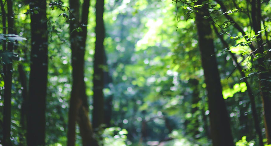 Jiaxing Xuanyi Internationale Handel Co., Ltd